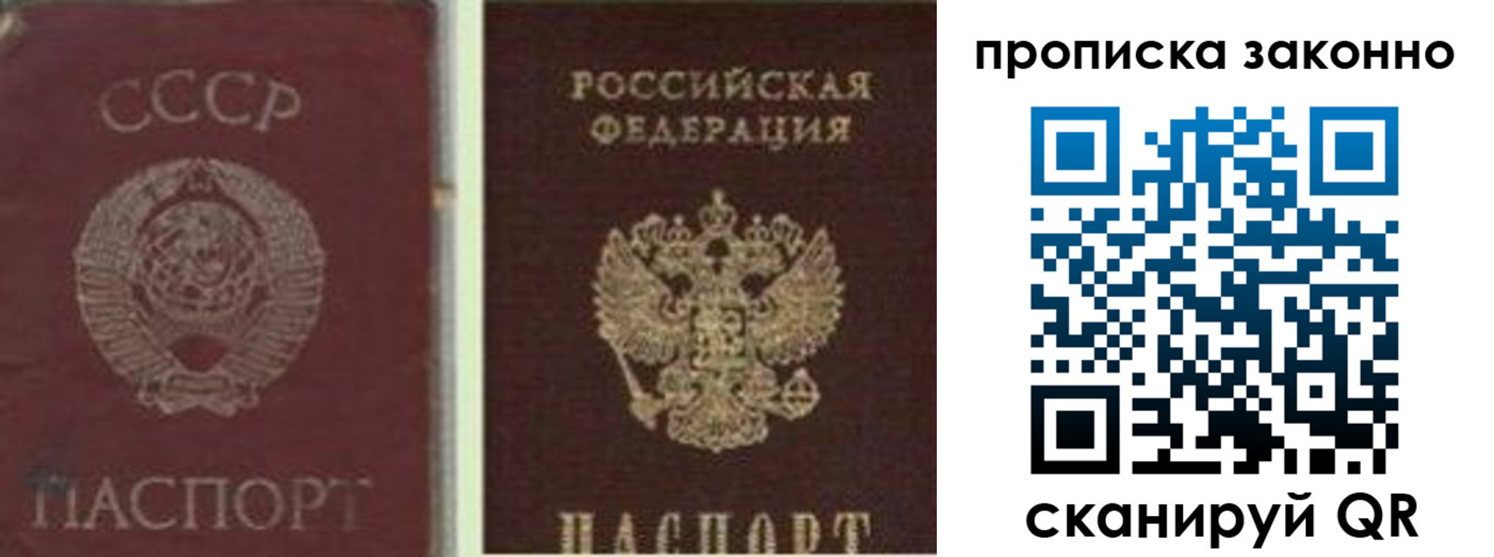 прописка гарантия в Краснодаре